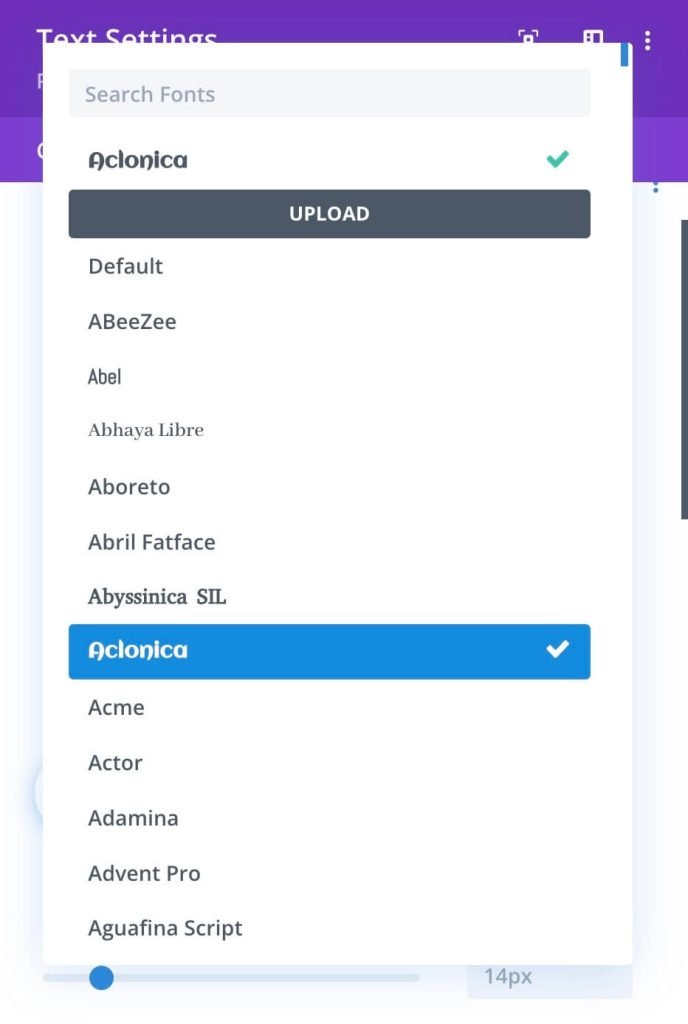 Divi theme and Google Fonts