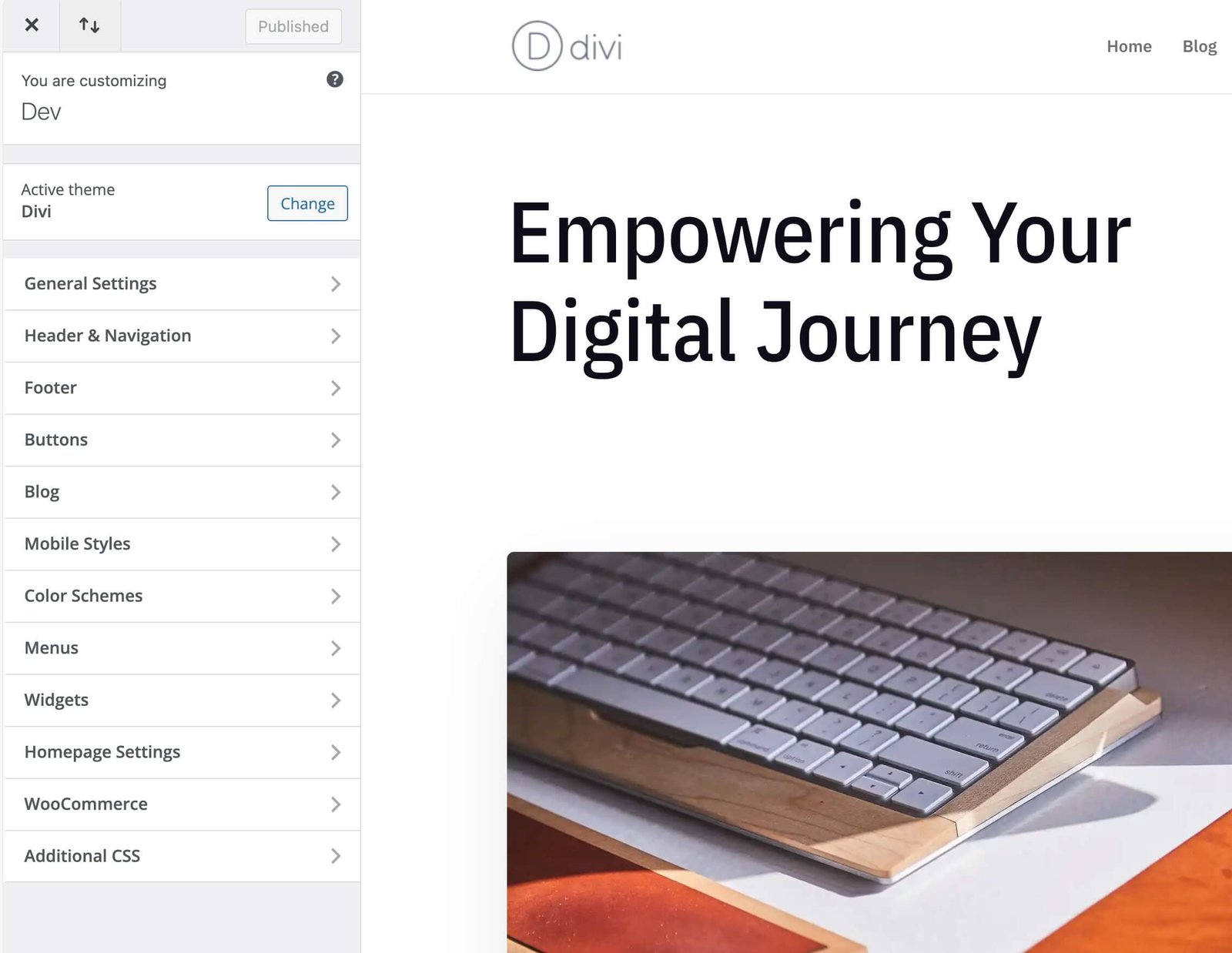 Divi theme customizer